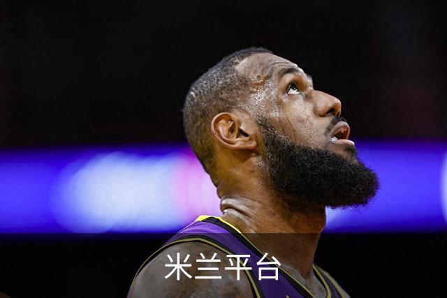 米兰平台公司简介图片